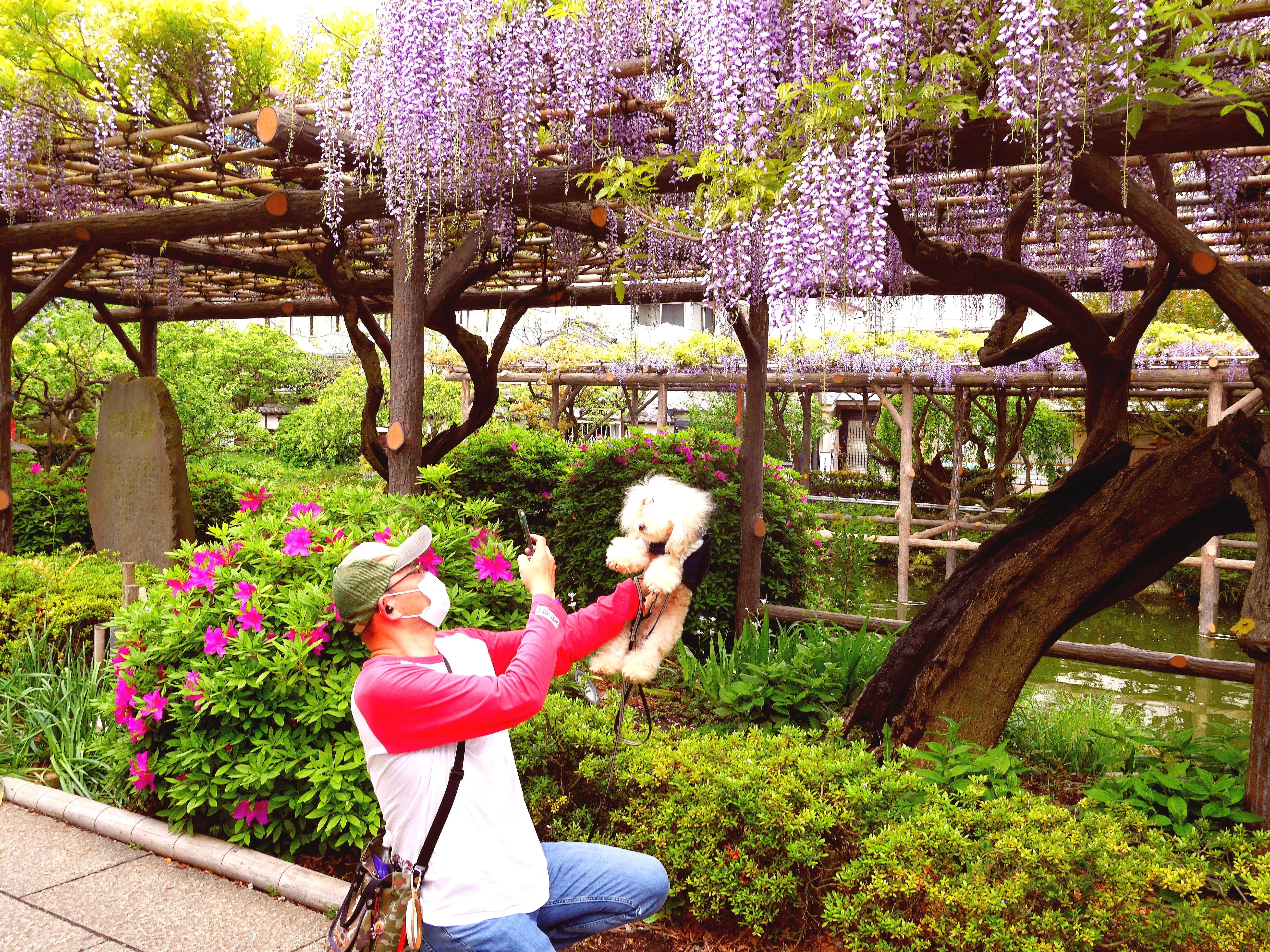 在日本生活花费大的地方,日本东京乡下生活