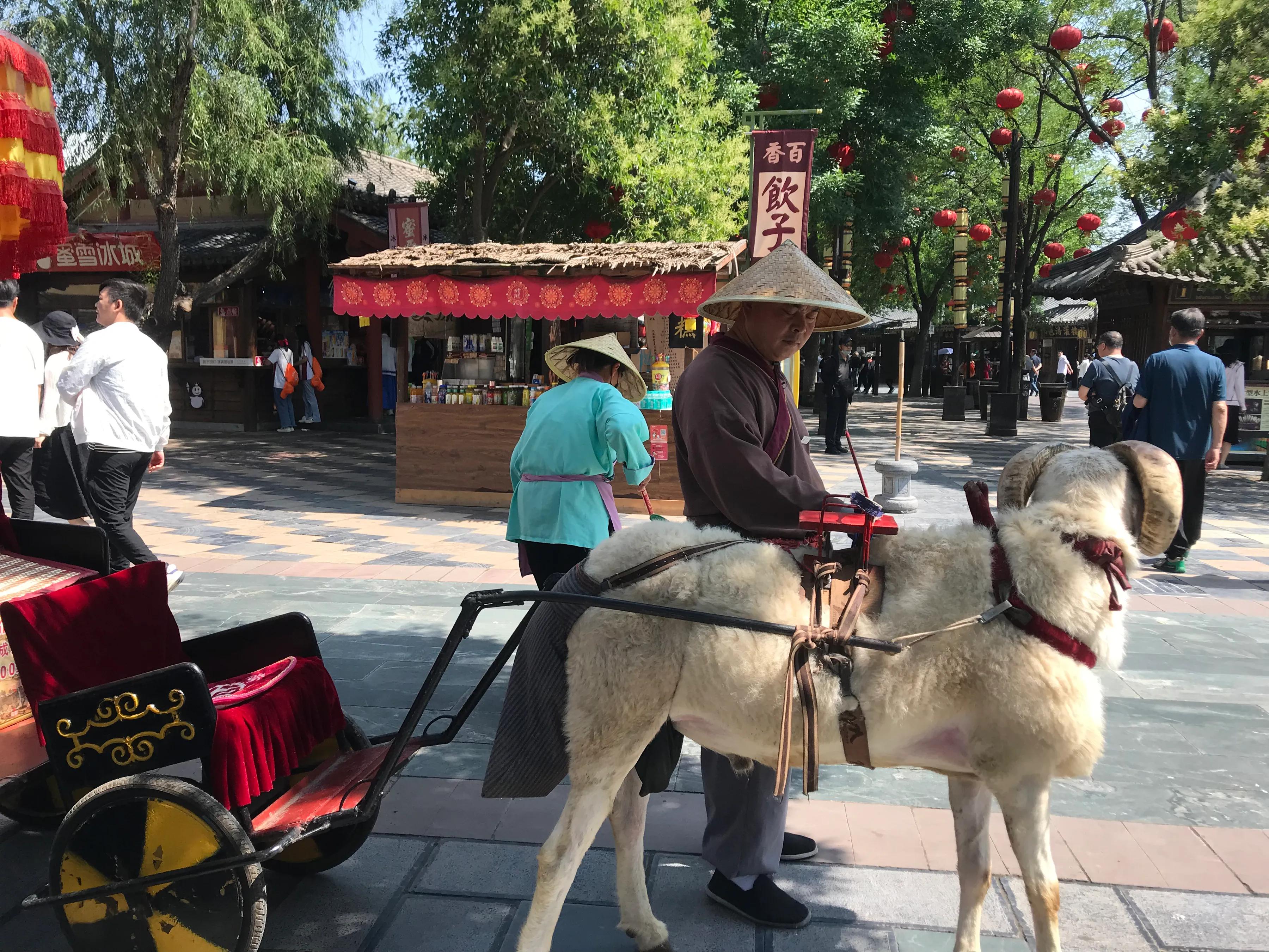 开封清明上河园吃饭攻略,开封四味菜哪家最正宗地址