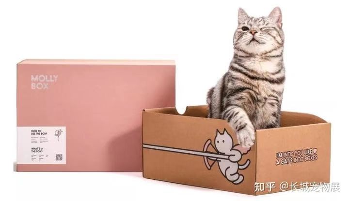 用订阅制模式解决养猫问题，魔力猫盒的崛起之路