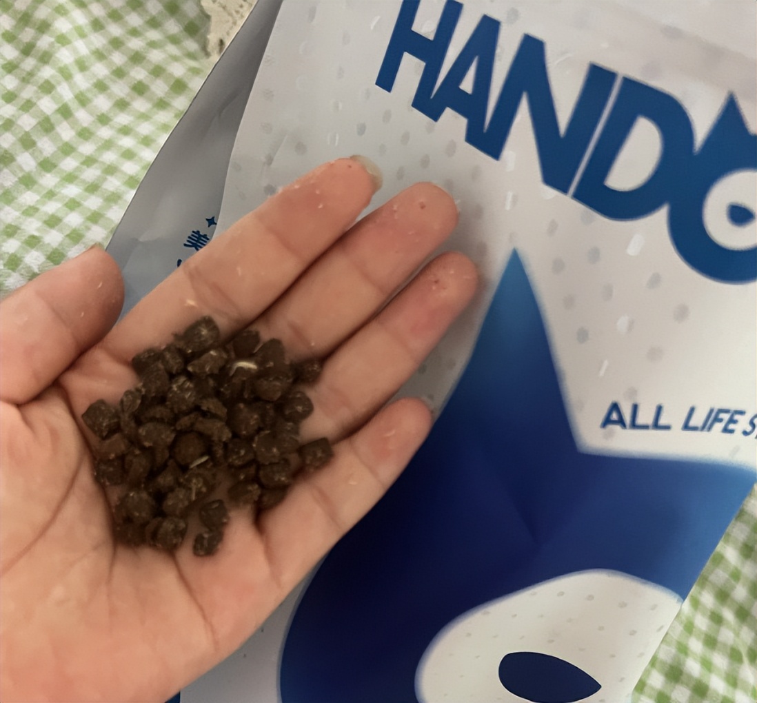 全价猫粮幼猫测评图,猫粮冻干全阶段幼猫专用怎么挑选