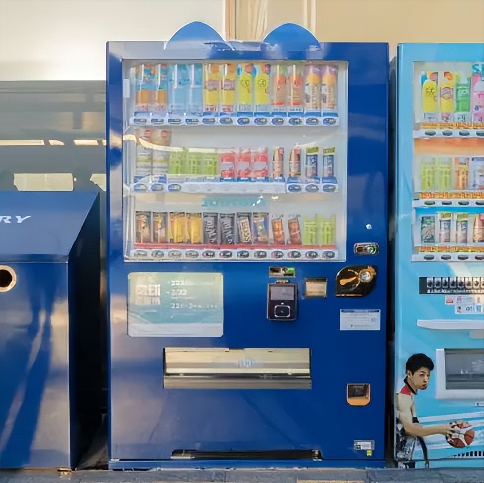 8.8国际猫咪日,日本猫的节日