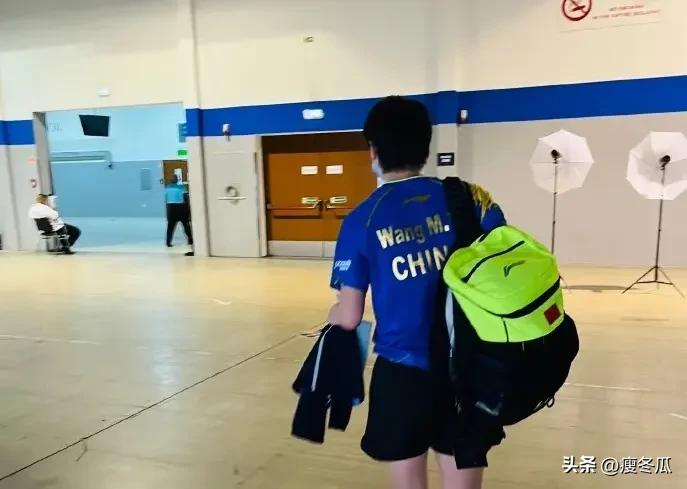 王曼昱一年多低迷期,王曼昱近一年的统治力