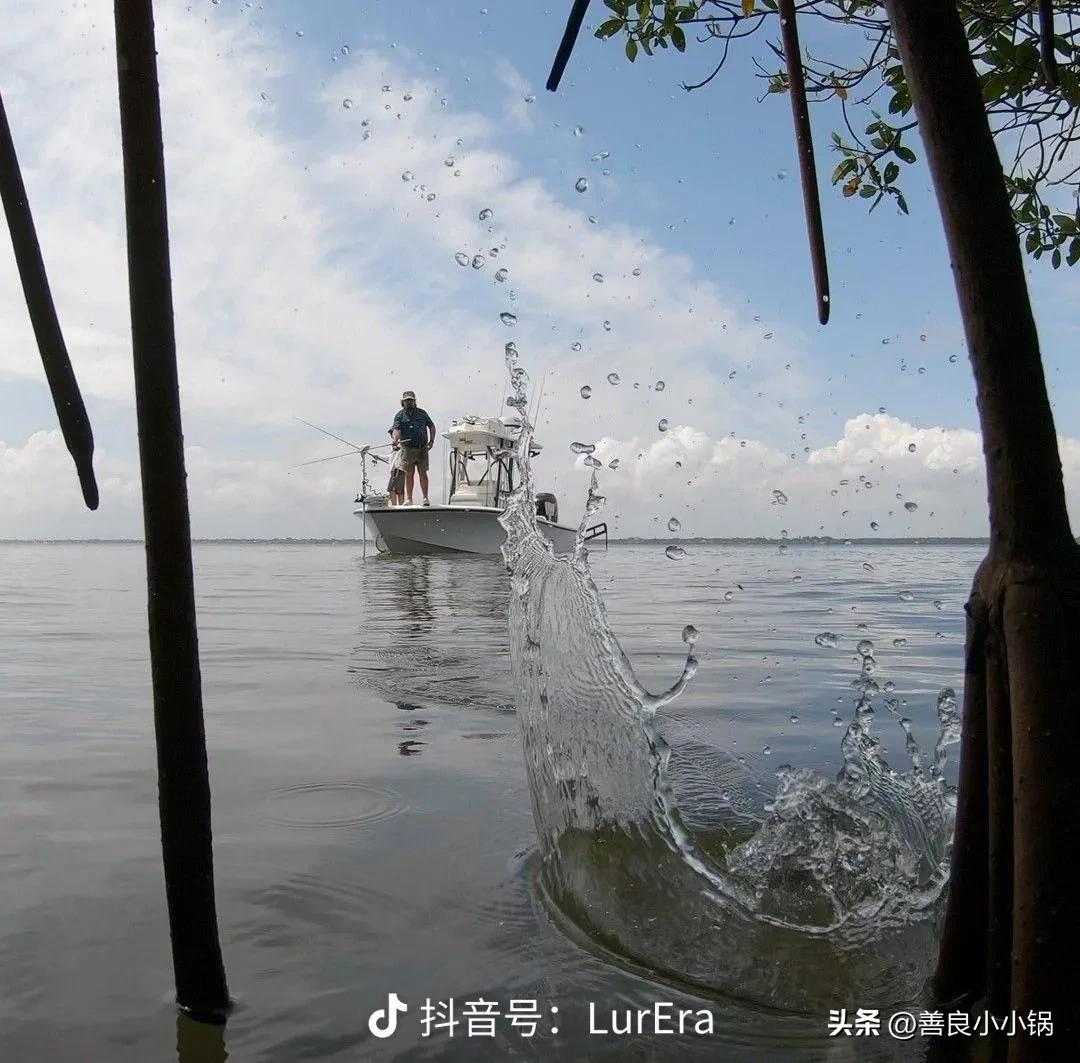 新手路亚知识讲解,路亚饵避坑系列大全