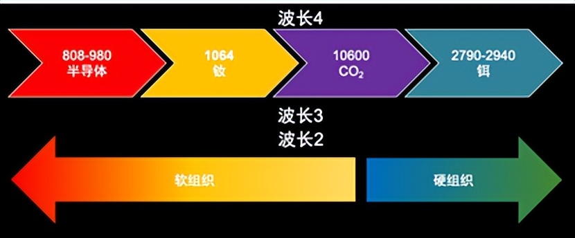 2020徐汇牙防所矫正牙齿费用,徐汇牙防所和静安牙防所哪个好