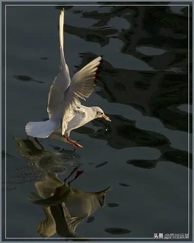 四川•九龙山子‖“暖方阁”中话“离别”