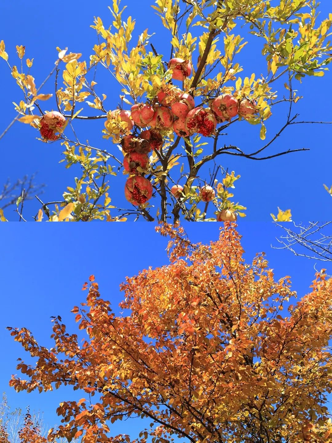 成都去西藏3天往返,成都去西藏不重复路线