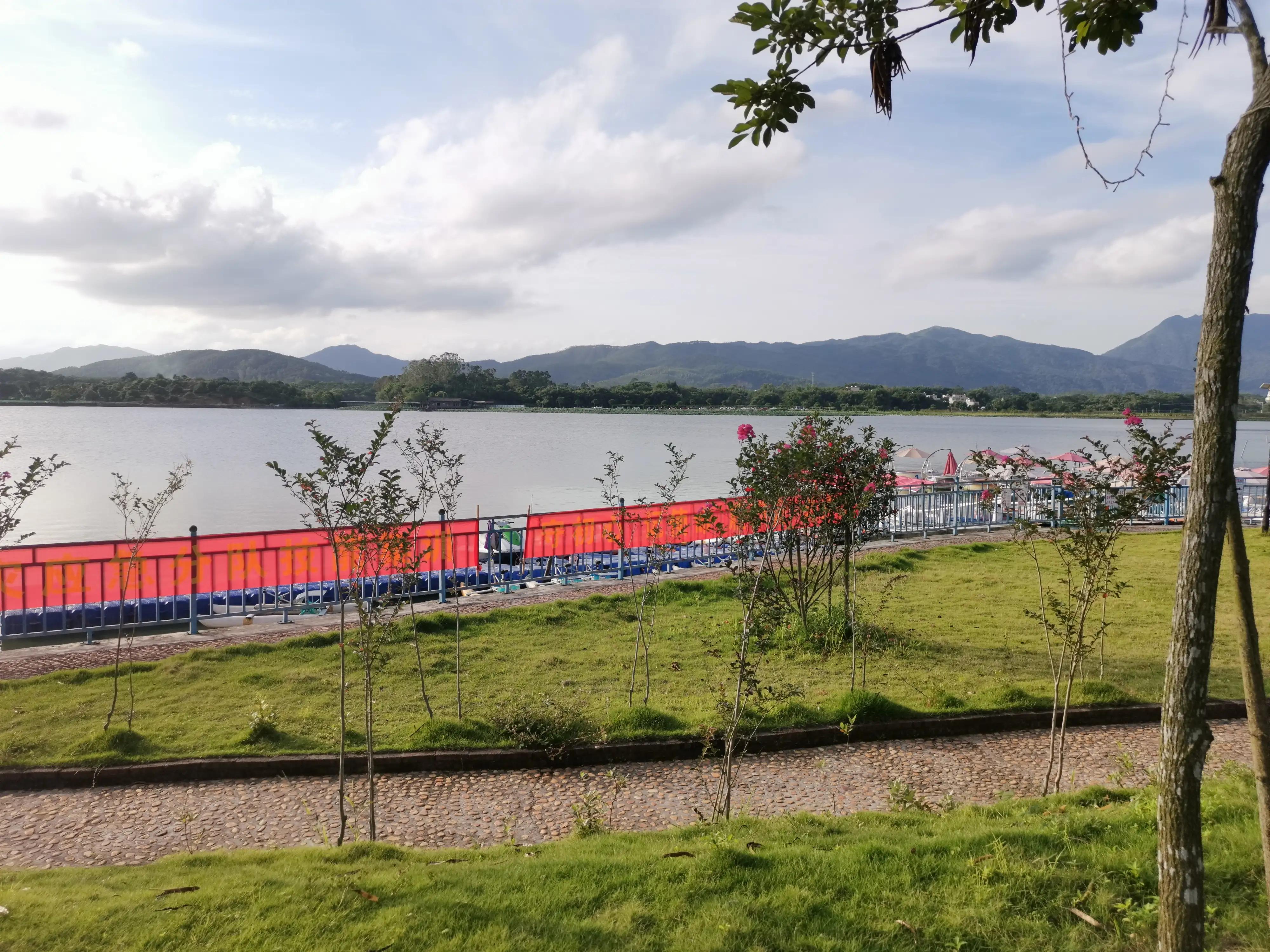 荣耀v20更新鸿蒙系统后充电充不满,支持鸿蒙的手机型号荣耀v20