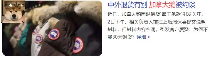 加拿大鹅为什么火爆,加拿大鹅是怎么火起来