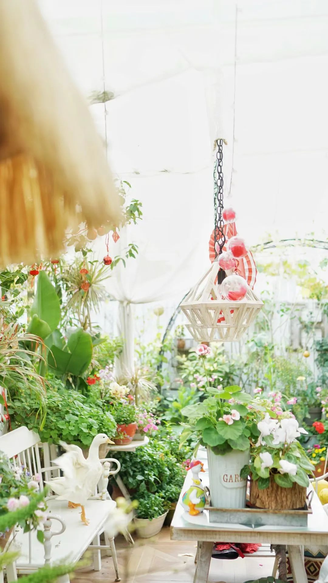 很多人羡慕的阳台,让别人羡慕的阳台