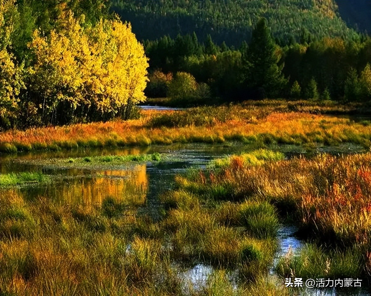 哪里开始供暖了,现在哪里供暖了