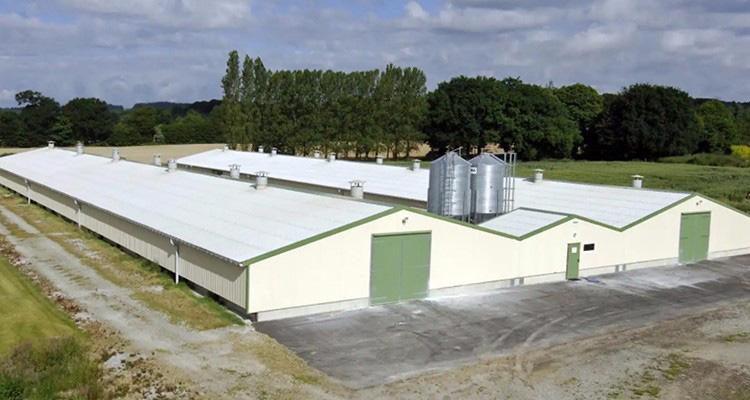 家禽生产中的发展策略,家禽养殖和内陆养殖