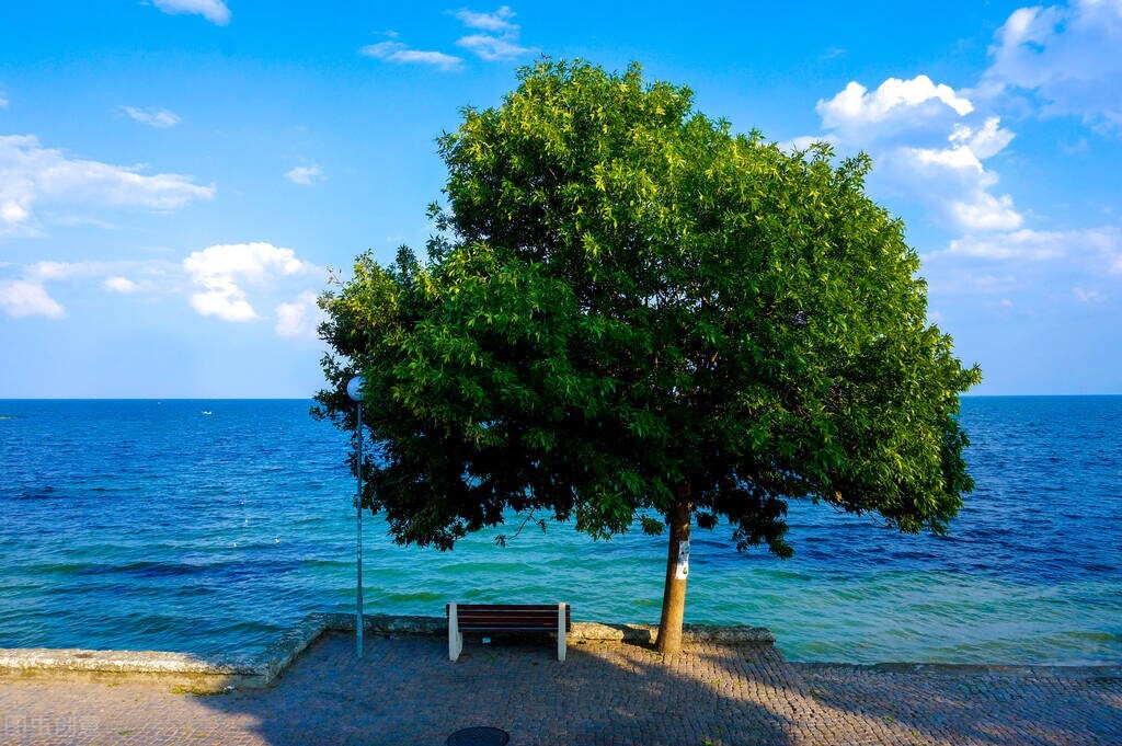 不拉黑不联系你是什么心态,不删除不拉黑不主动联系回消息