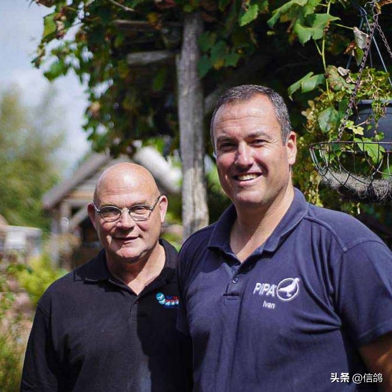 “奶酪”基因就是强大，只要一沾血就能飞冠军，亚精顿III再夺冠