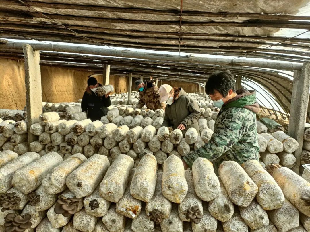 邀您来看，冬日里的“致富经”~