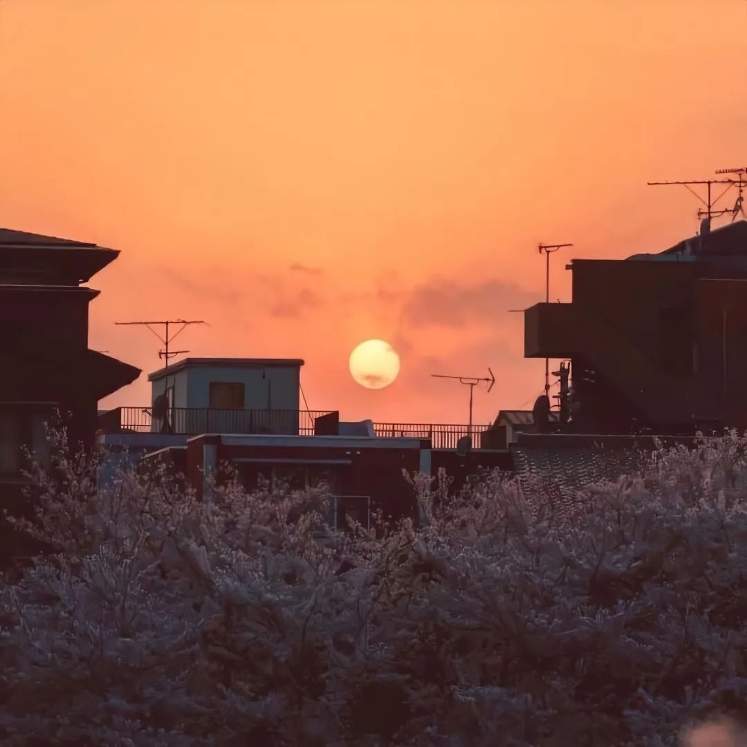 超有感觉的背景图伤感,小众超有感觉的背景图