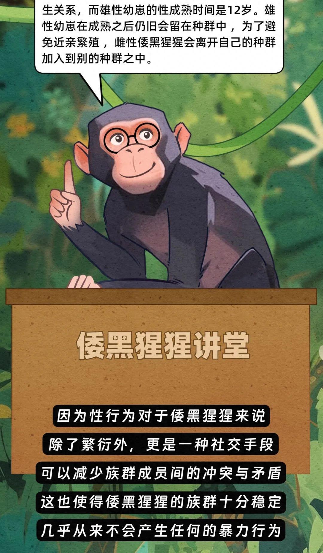 动物交配行为鉴赏，真的触碰到了我的知识盲区（漫画）