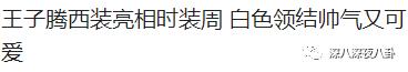 王子腾人物评价,王子腾是男的还是女的