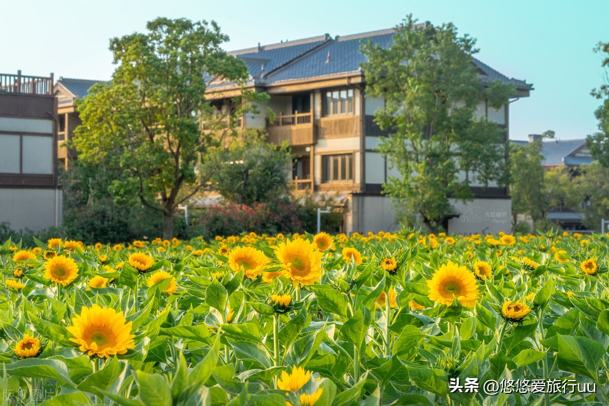 无锡几大景点旅游攻略,去无锡旅游的15个景点