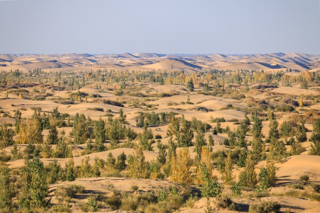 补肾阳气和命门火用什么药,助肾阳