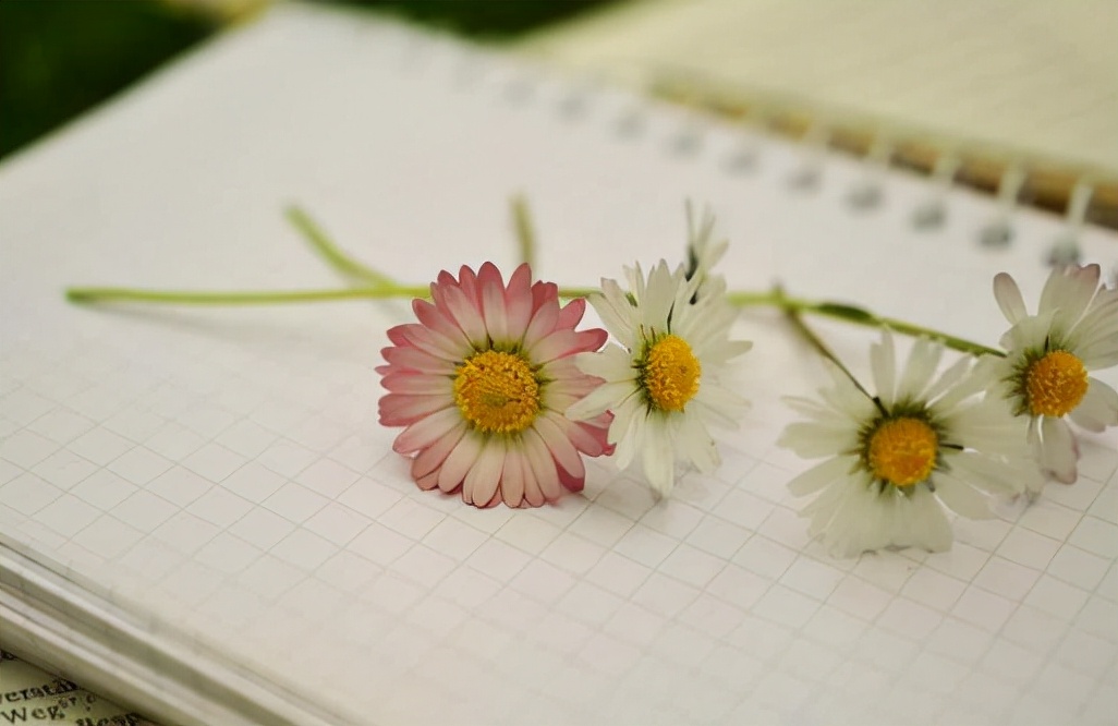 不喜欢发朋友圈的人都什么心态,不喜欢发朋友圈的人是什么心理