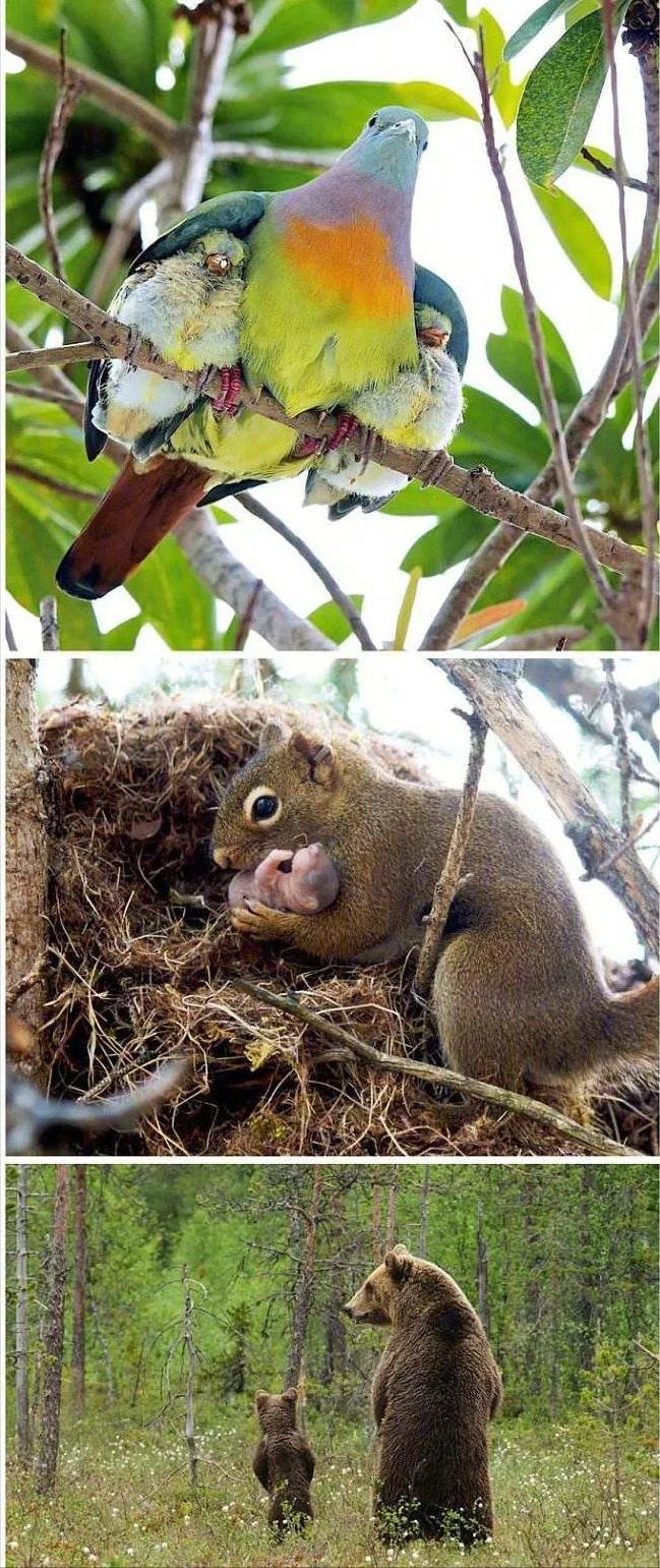 涓栫晫鍗佸ぇ瓒呮ā韬潗鍥剧墖鍥炬枃,涓栫晫鍗佸ぇ瓒呮ā鎯婅壋鍐欑湡
