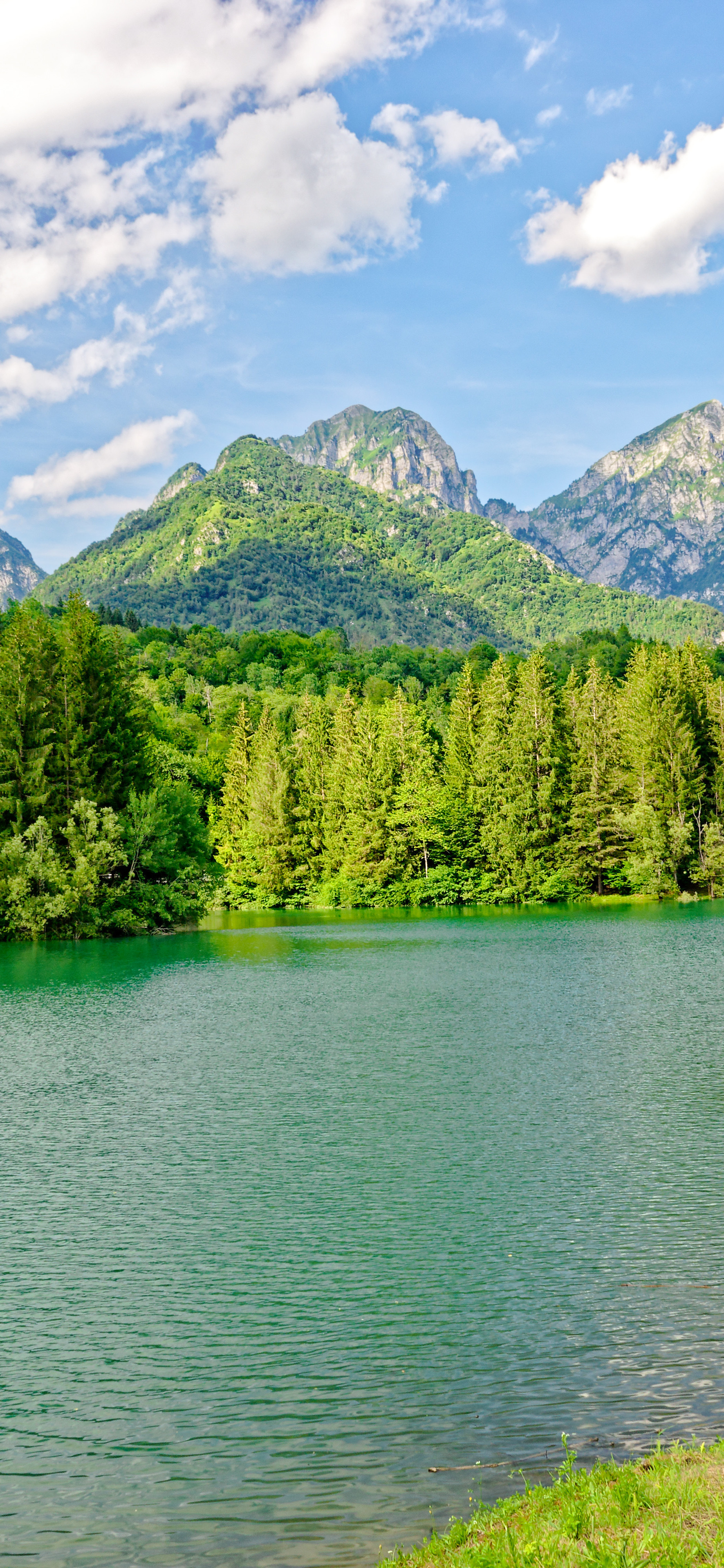 高清蓝天自然风景壁纸,动物自然风景高清壁纸