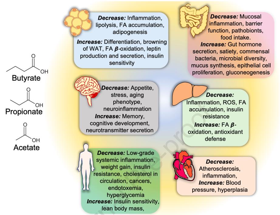 肠道微生物学最新研究,肠道微生物学基础知识