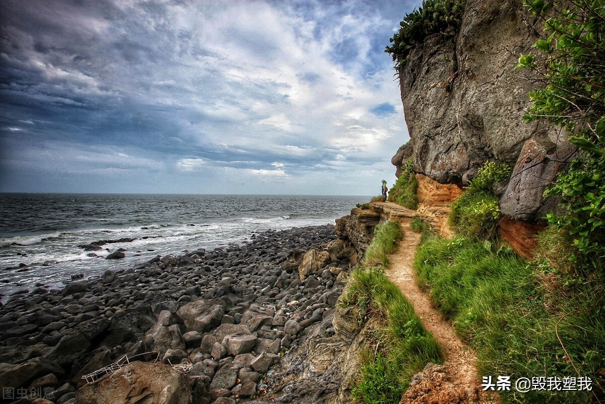 湛江哪里的鱼多,湛江章鱼属什么品种