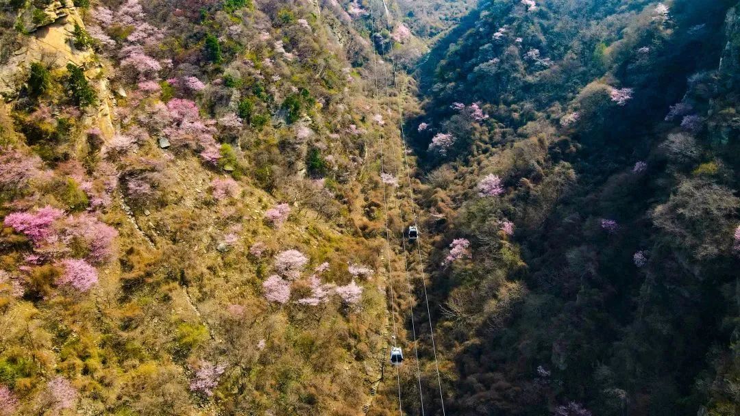 华山淡季旅游攻略,华山游玩季节推荐