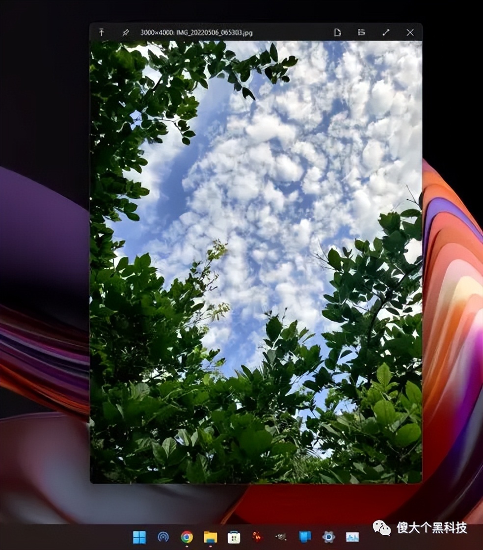 全球开源软件数量,2023年十大最佳开源软件