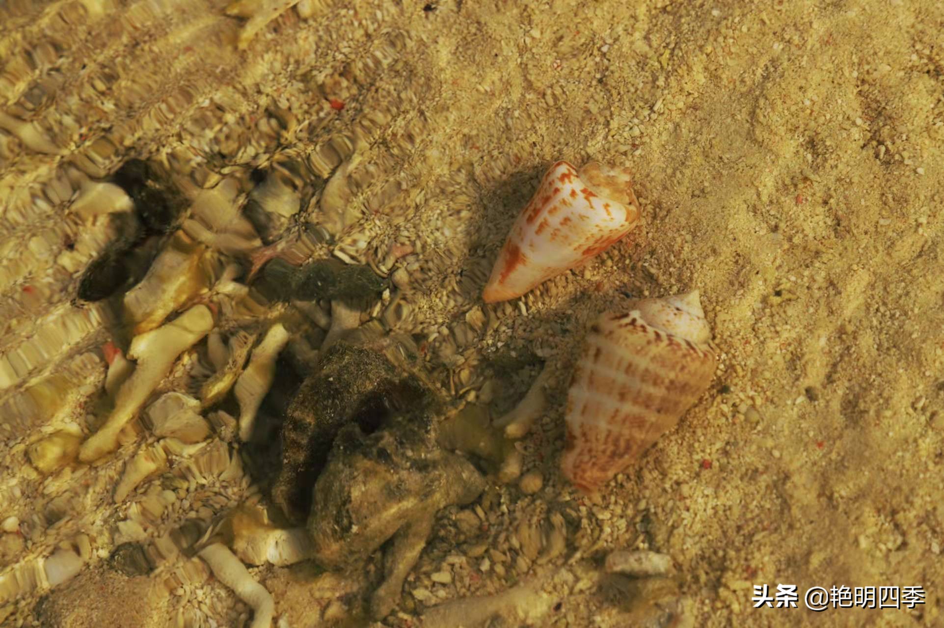 西沙群岛南海之梦游轮,西沙群岛南海之梦游轮视频