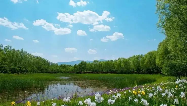 北京清明踏青旅游攻略,北京适合清明游玩的公园