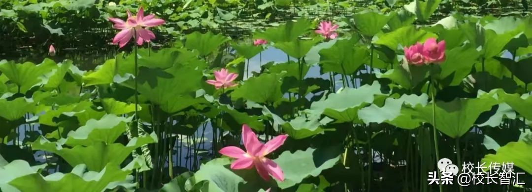 聚焦双减提质增效,双减形势下减负提质增效