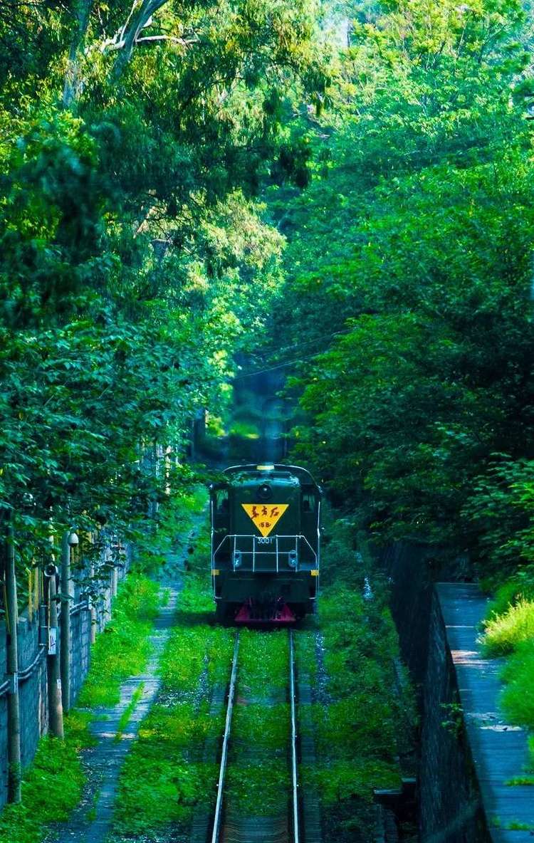四川攀枝花城市风景,四川攀枝花城市介绍