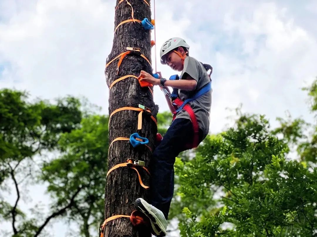 百年盛世看曲江,看曲江全景