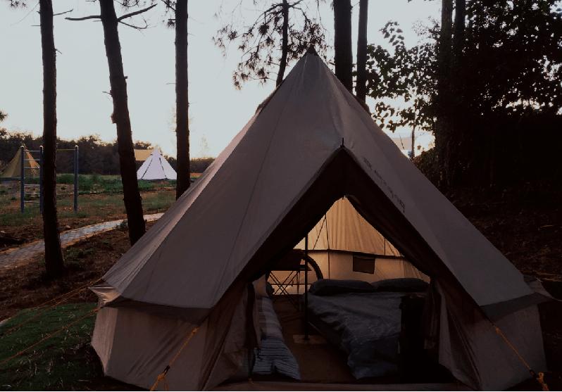 想了一百种关于春天的文案,却不及一场金坛茅山春日野餐露营美好