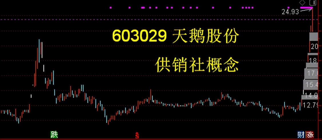 双成药业同板块股票,双成制药股票