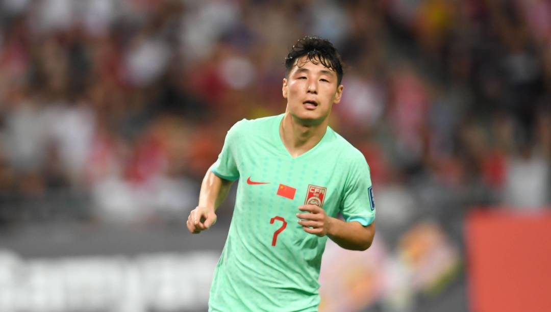 范志毅水晶宫薪酬,范志毅到国家队做什么