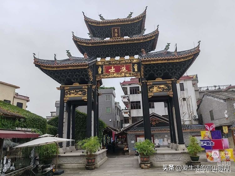 佛山至香港一日游,广州佛山一日游遛娃的好地方