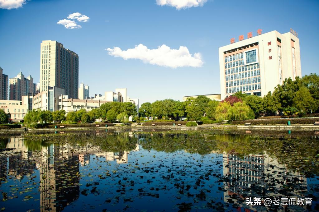 安徽医学高等专科学校是双高吗,安徽医学高等专科学校王牌专业