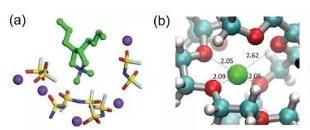 PXG/H13在非共价相互作用下，是如何有效阻止PXG反应的