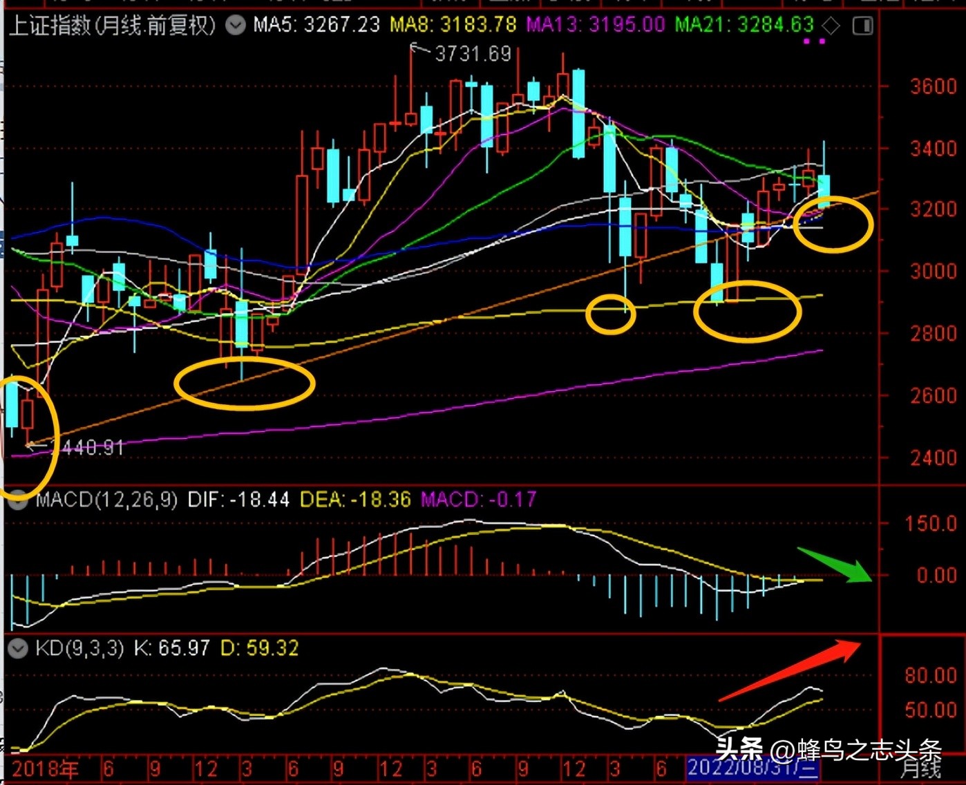 光脚大阴杀跌，最暗时刻艰难探底20230524