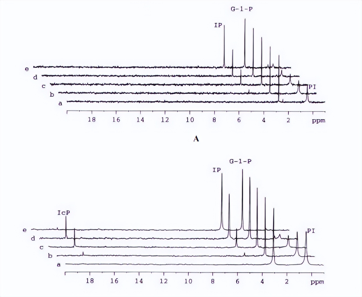 染色质组装和调控对酶活性的要求都有哪些