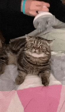 老婆包里发现的卡,老婆包里发现了啥