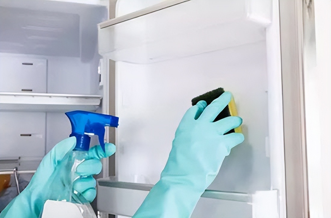 冰箱里有多脏,冰箱和马桶哪个脏