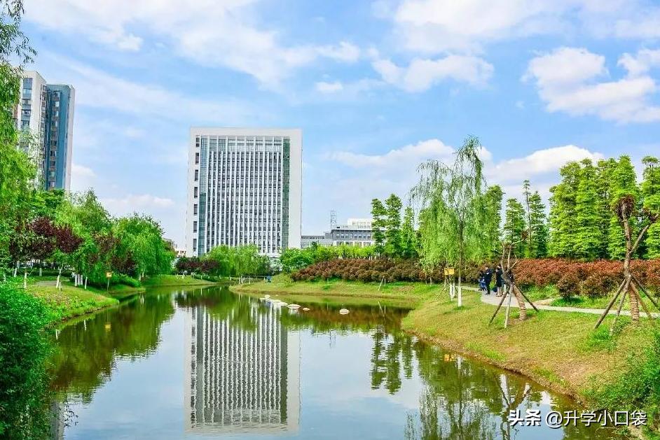 西南石油大学保研数据，435人被保研，39人被保送到四川大学