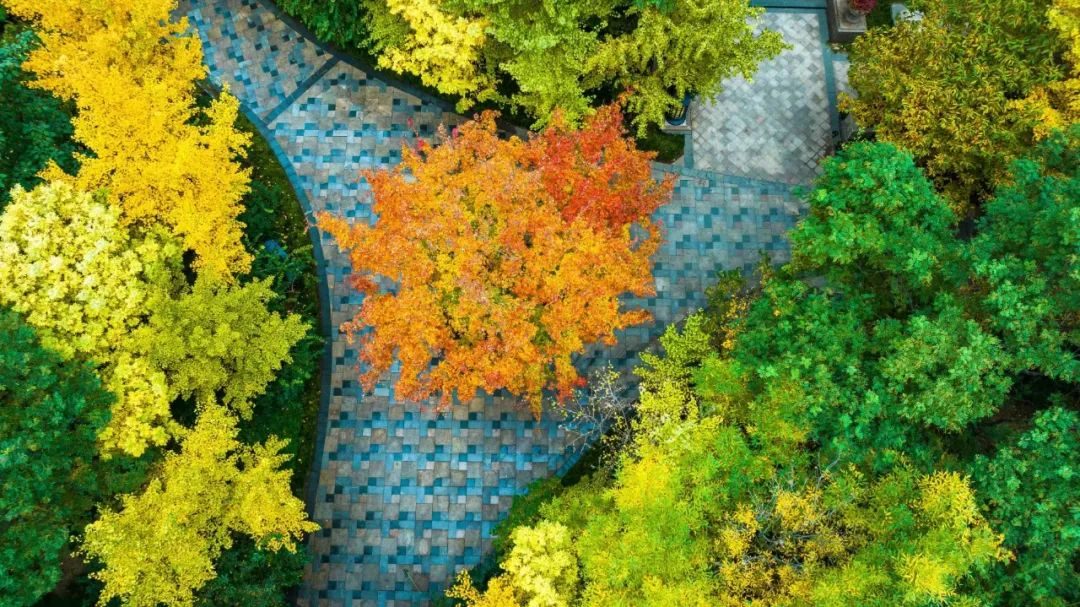 行业界的大佬交流会,业界精英莅临公司参观