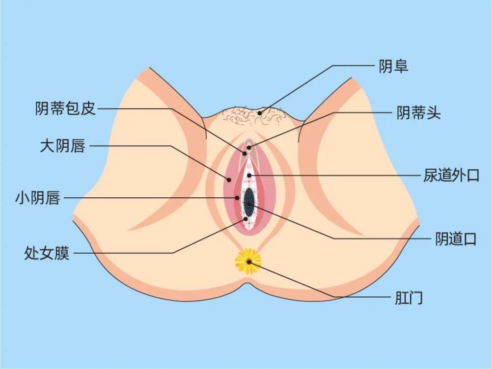 9胞胎顺产,顺产真的十顺9切吗