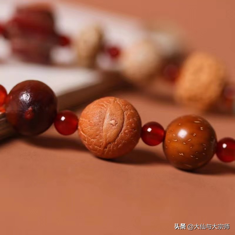 十八籽菩提手串,100种菩提品种