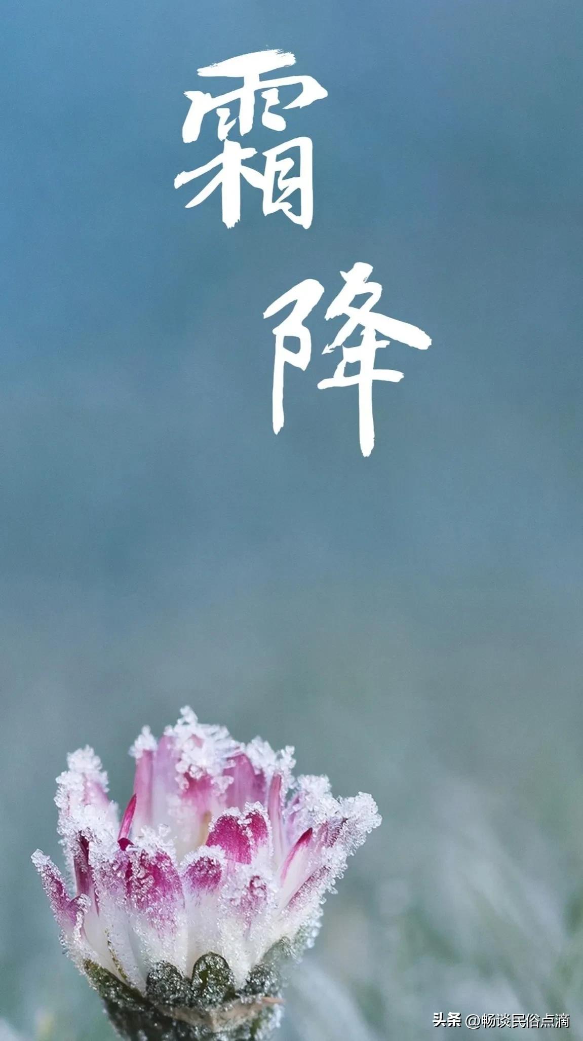 霜降和寒露是哪个季节的节气,霜降什么时间打霜